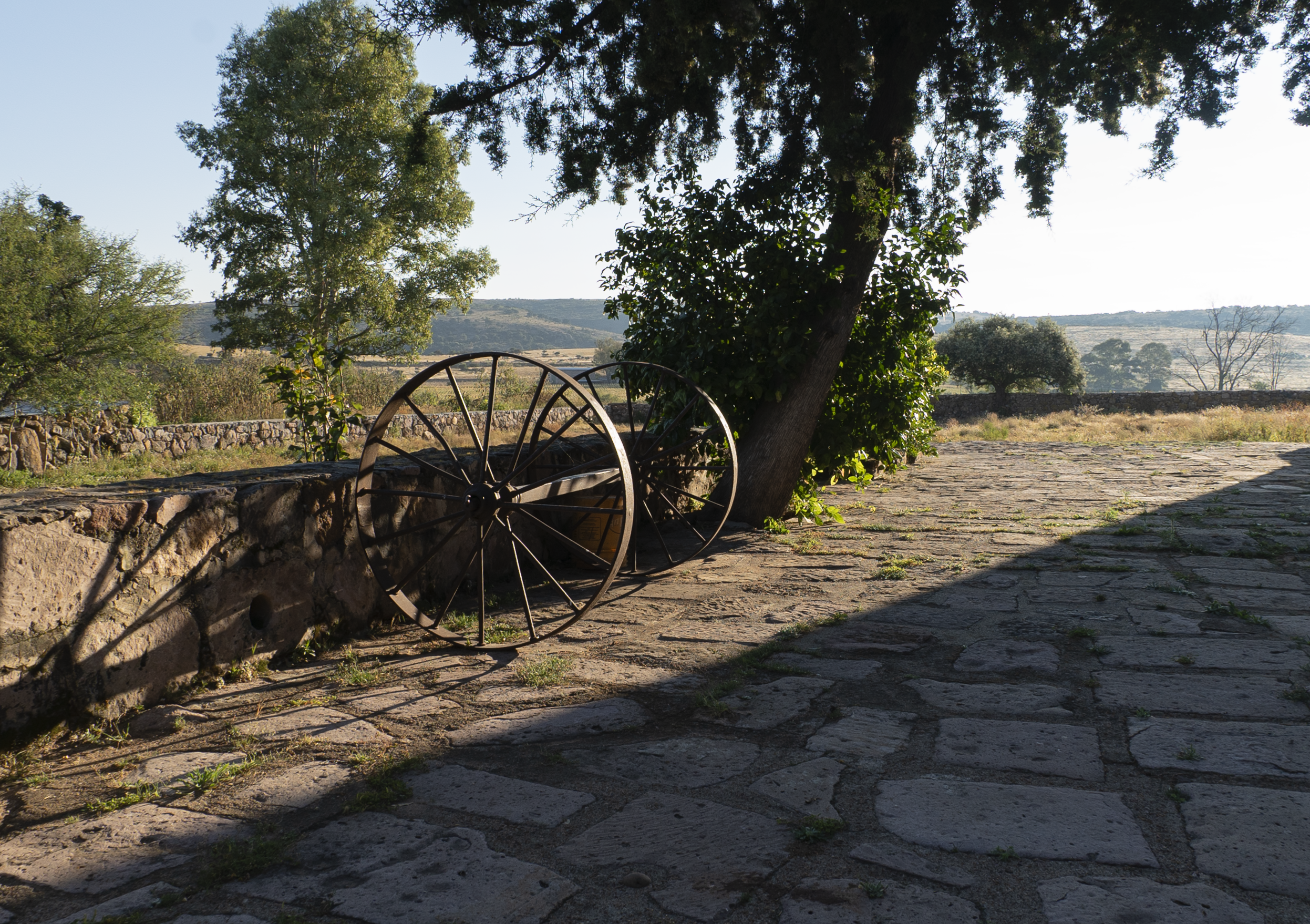 Tequila Matices - Background Image